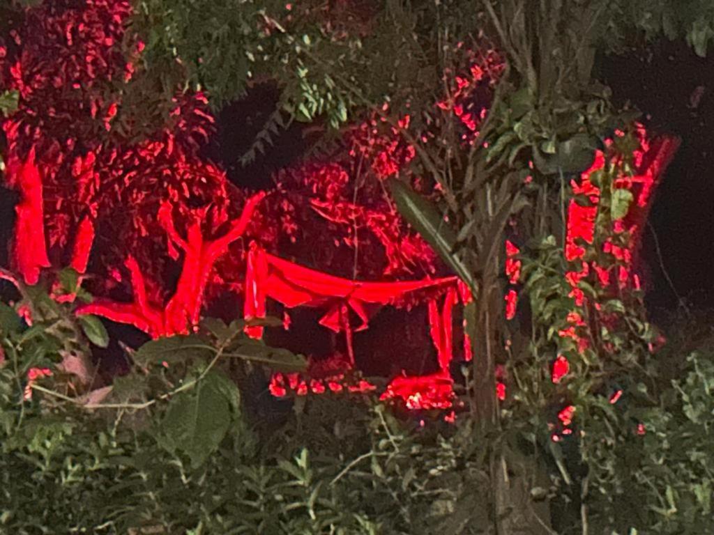 Planta Glamp Farm Ξενοδοχείο Santa María Huatulco Εξωτερικό φωτογραφία