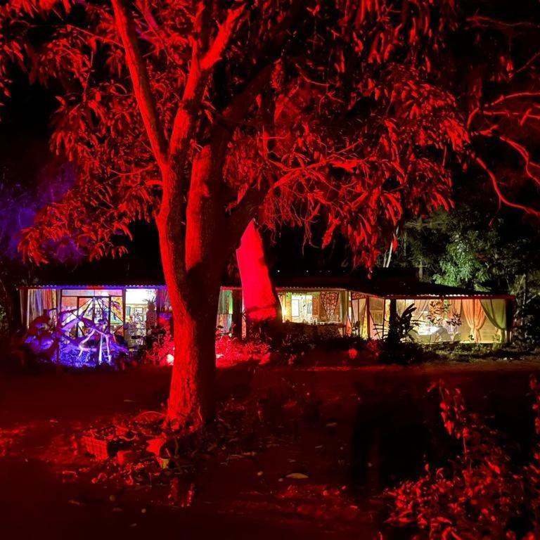 Planta Glamp Farm Ξενοδοχείο Santa María Huatulco Εξωτερικό φωτογραφία